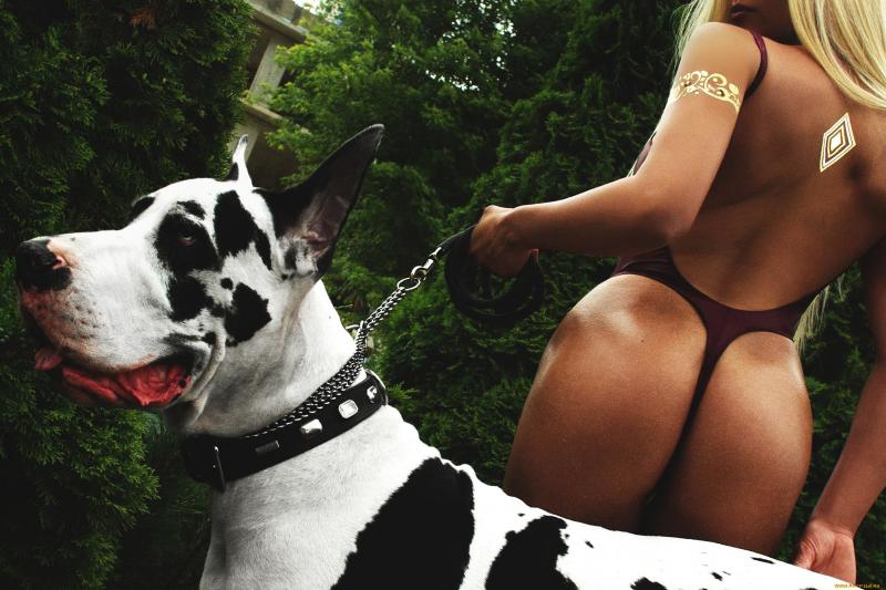 Очаровательные собаки девочки