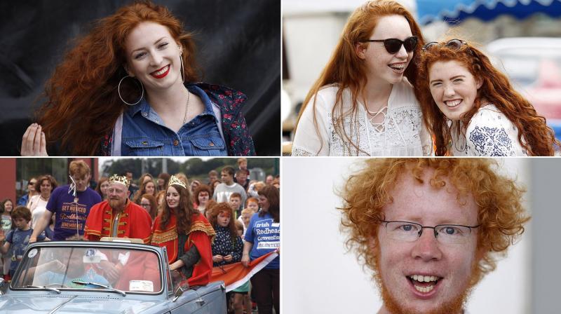 Рыжие ирландцы