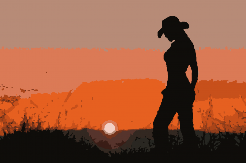 Силуэт девушки в шляпе